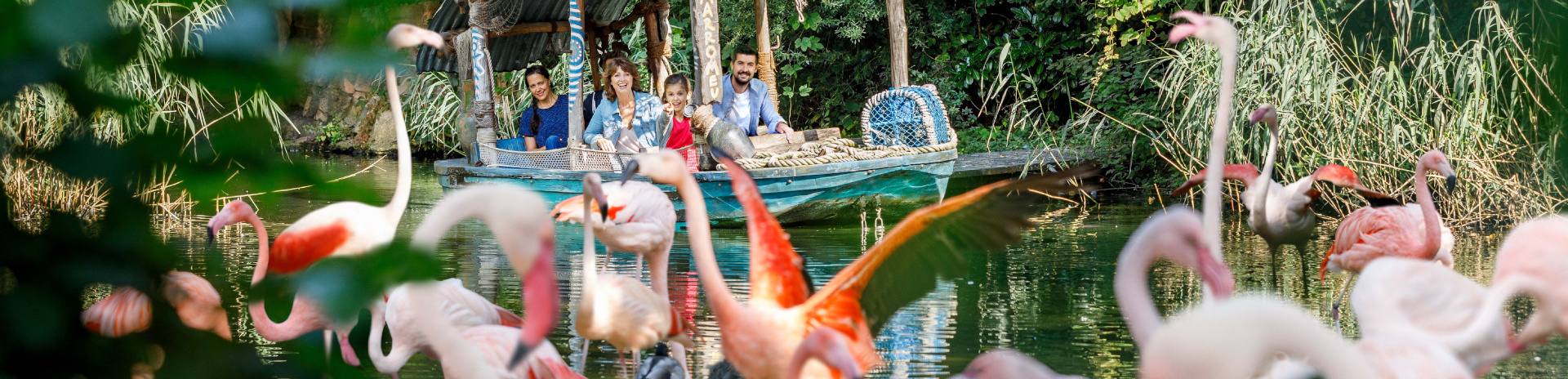 Ein Boot gleitet vor einer Gruppe Flamingos über einen afrikanisch-inspirierten Flusslauf.